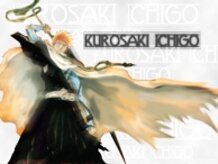 kurosaki ichigo 1