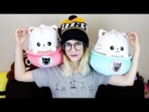 Famous Youtuber Mimei Reviews Latte Kitten Plushies from TOM! 