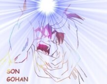 gohan