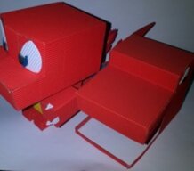 charmander- disguised of charizard