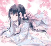 Sakura Daydream