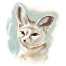 Fennec Fox