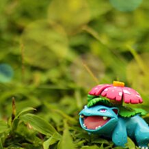 Venusaur