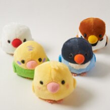 Atsumari! Kotori Tai