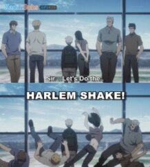 HARLEM SHAKE ~ >:)))