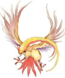Here comes Oliver Pidgeot