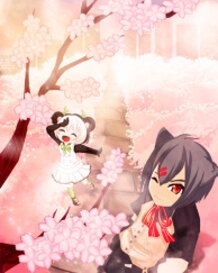 Cherry Blossoms heaven ... 