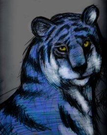 A tiger BLUE