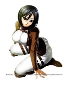 Fan Art - 進撃の巨人 - ミカサ・アッカーマン