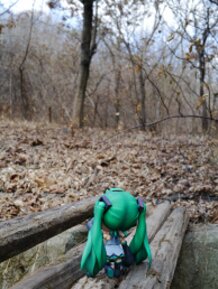 Nendoroid Hatsune Miku Absolute HMO Edition