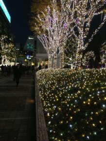 Shinjuku  Christmas 