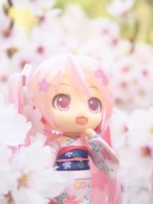 Sakura Miku