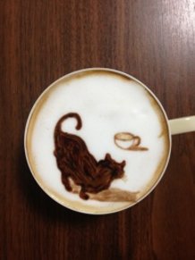 cat and latte in the latte