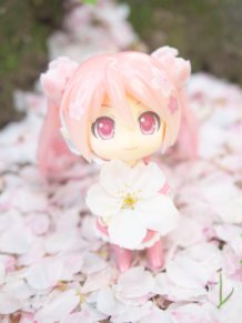 Sakura Miku: Bloomed in Japan