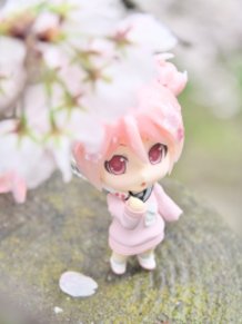 Sakura Miku: Bloomed in Japan