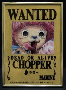 One Piece Crystal Wanted Posters