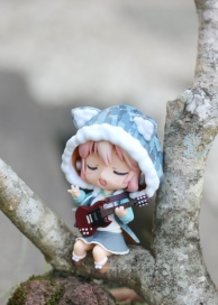 Sonico singing in a tree