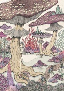 Forest of the mushroom