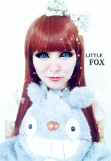Little Fox With Totoro