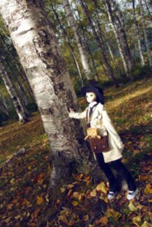 The Wayfarers, Autumnal sanctum