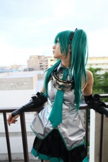 ANIPOLE-Hatsune Miku