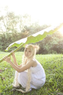 Honey and Clover