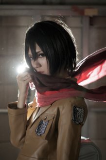 Mikasa Ackerman 【Attack on Titan】