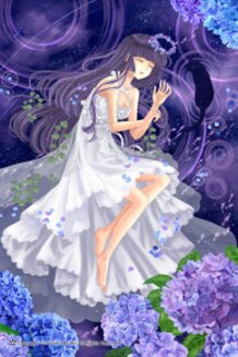 Hydrangea Night Dream