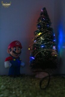 Mario ready for christmas