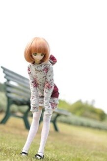 AKIRA (DOLL PHOTO)