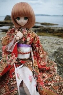 AKIRA (doll photo)