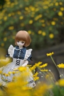 NANOKA (DOLL PHOTO)