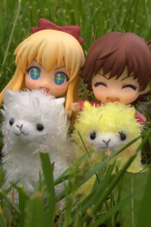 Alpaca Adventure!