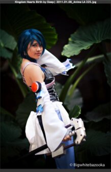 Relief From the Fight