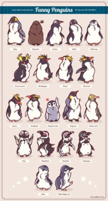 Super Lovely Penguins!