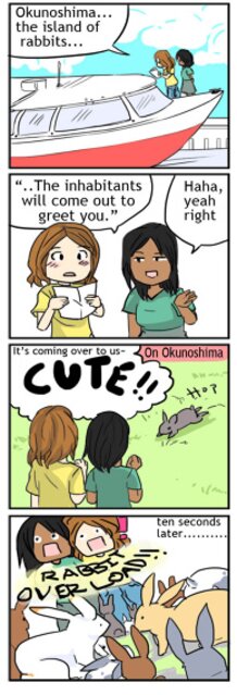 Okunoshima - Island of Rabbits