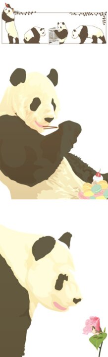 panda
