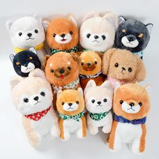 Mameshiba San Kyodai Dog Plush Collection: Jumbo & Big Assorted Set of 8