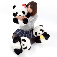 Marukoro Panda Aka-chan Plush Collection (Big)