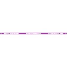 Love Live! Sunshine!! Numazu Jimo Ai Festival 2025 Custom Hoodie Ribbon