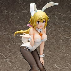 IS <Infinite Stratos> Charlotte Dunois: Bunny Ver.
