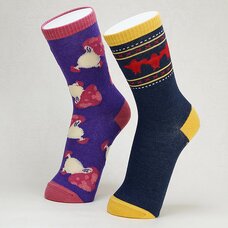 Delicious in Dungeon Socks