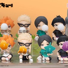 Perihapi! Hide & Seek Haikyu!! Pseudo Youth Box Set