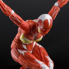 Human Muscle Model Female Ver. (Red) 1/12 Scale Action Figure