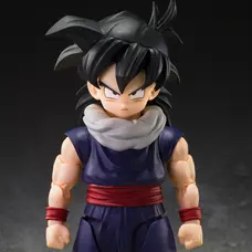 S.H.Figuarts Dragon Ball Z Son Gohan <Z-FIGHTERS> (Limited Edition <Z-FIGHTERS> Group Base Ver, A)