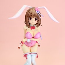 Ro-Kyu-Bu! SS Airi Kashii: Bunny Ver.