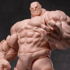 FMW009 Super Action Figure Body Titan (Normal Skin) 1/12 Scale Action Figure