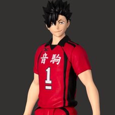 Collekazaro Haikyu!! Tetsuro Kuroo