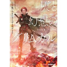 Grimgar of Fantasy and Ash Vol. 17 (Light Novel)