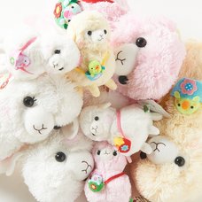 Cutie Kids Alpacasso Alpaca Plush Collection (Big)